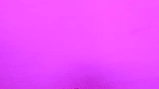 Habibi big b online show from 11/16/25, 11:49