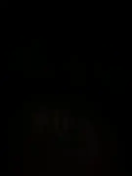 islandvybee55 online show from 12/15/24, 07:02