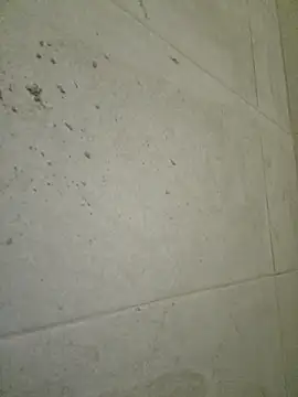 seloloko20 online show from 09/19/25, 06:59