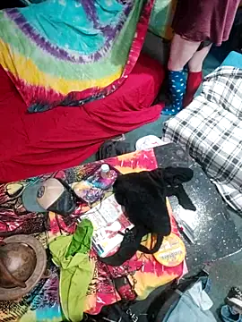 Boo-boo kittyfux online show from 10/15/25, 08:47