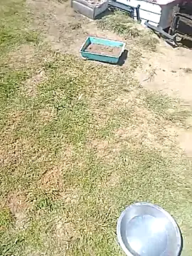 hornyhippies0080 online show from 03/04/26, 09:59