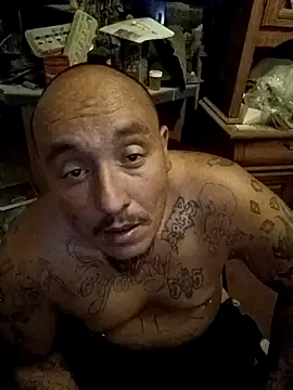 wilsons12 online show from 11/08/25, 05:18