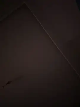 eddy355 online show from 10/26/25, 09:31