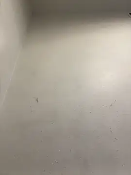 honeybrow online show from 01/08/25, 09:55