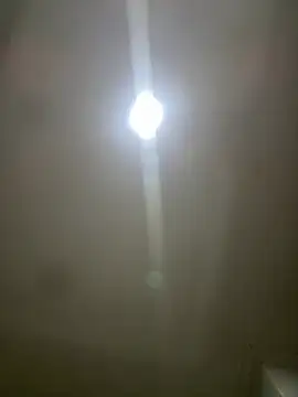 pawmistry online show from 03/05/26, 03:57