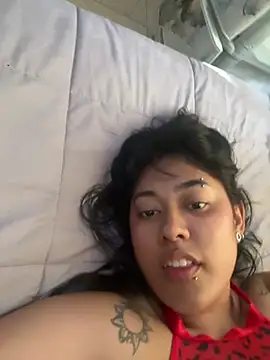 pawmistry online show from 04/04/26, 08:39