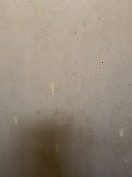 loveme99004 online show from 03/30/26, 08:59