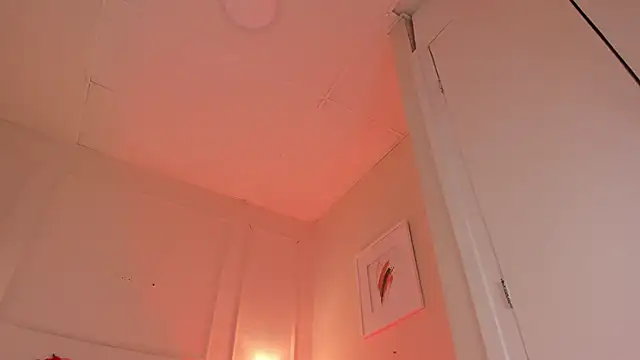 Snapshot of dani_skinny_ chatting on 12/24/24, 02:54 dani skinny online show from 12/24/24, 02:54