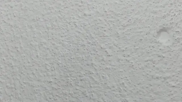 JESSYCORTES online show from 05/13/26, 11:33