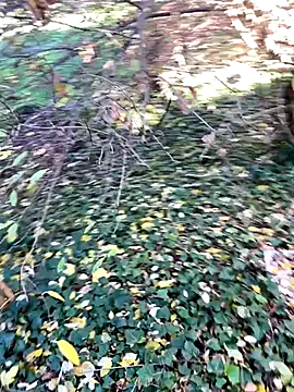 Lucascacaca online show from 12/04/24, 02:04