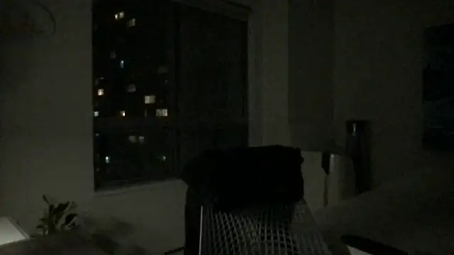 Gingerbushguy online show from 12/29/24, 09:39