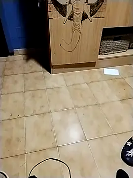 minitranca online show from 11/10/25, 09:25