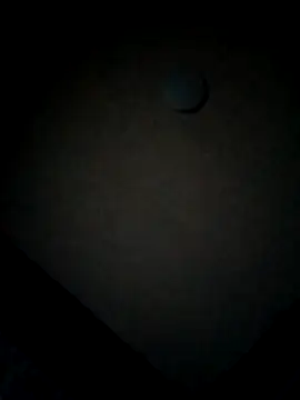 minitranca online show from 02/12/26, 10:05