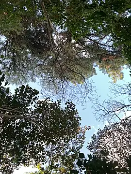 Snapshot of _PhillipBrown chatting on 09/10/25, 11:32 PhillipBrown online show from 09/10/25, 11:32