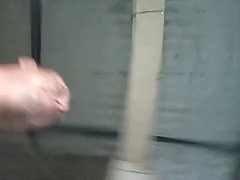 strip 1212 online show from 11/06/25, 11:48