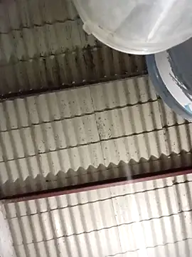 strip 1212 online show from 03/08/26, 02:04