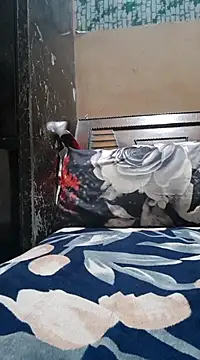 Snapshot of Bbw_Juice_Wife chatting on 12/14/24, 09:40 Bbw Juice Wife online show from 12/14/24, 09:40