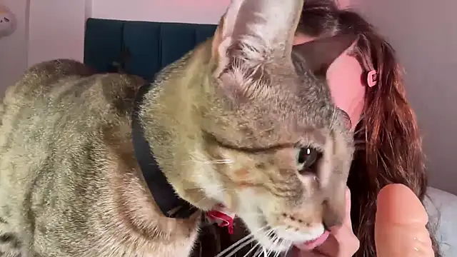 alice guerin  online show from 02/20/26, 06:26