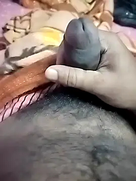 dick 01728 online show from 11/20/25, 03:12