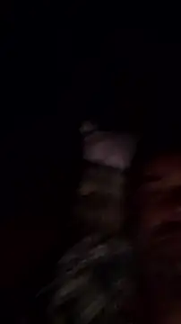Snapshot of Gianlucazeis chatting on 06/03/26, 02:58 Gianlucazeis online show from 06/03/26, 02:58