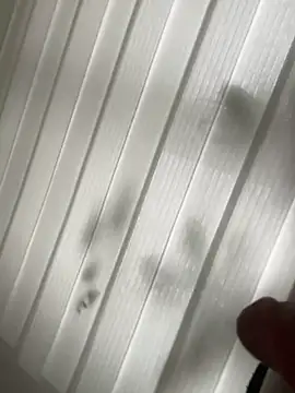 derFickerali online show from 01/23/25, 01:13