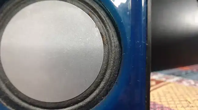 mom son dirty online show from 03/21/25, 11:45