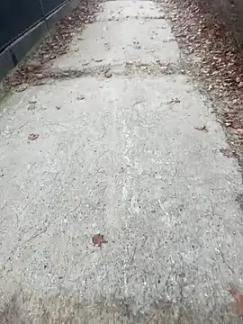 Tomkitomkii online show from 11/06/25, 02:51