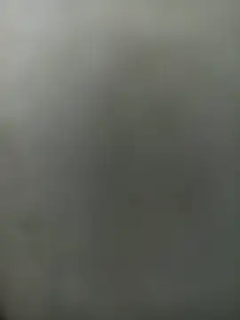 wildfox566 online show from 03/30/26, 03:40