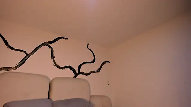 EthanTravis  online show from 02/11/25, 07:33
