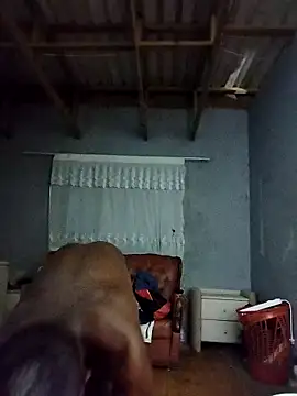 Chocolate factory man online show from 09/10/25, 04:40