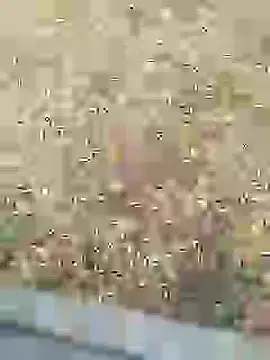 Snapshot of Mrveda66 chatting on 02/10/26, 11:03 Mrveda66 online show from 02/10/26, 11:03