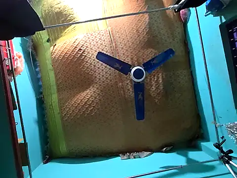 Snapshot of hotbaby_5 chatting on 12/14/24, 09:29 hotbaby 5 online show from 12/14/24, 09:29