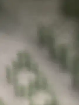 Estefanii- online show from 12/16/24, 01:32