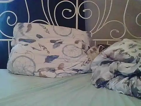 Snapshot of sympatyczny223 chatting on 03/15/25, 08:04 sympatyczny223 online show from 03/15/25, 08:04