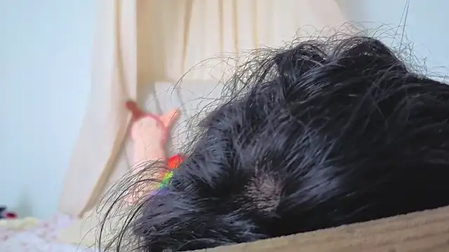 Katiaflex online show from 03/02/26, 03:41