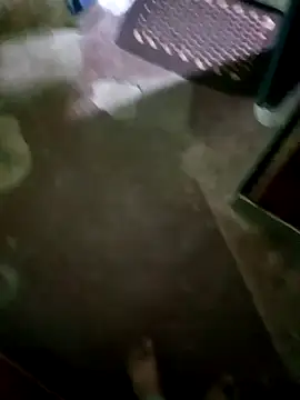 Snapshot of InboardHasek chatting on 12/05/24, 01:28 InboardHasek online show from 12/05/24, 01:28