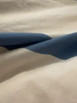 anyAna21 online show from 12/21/24, 02:47