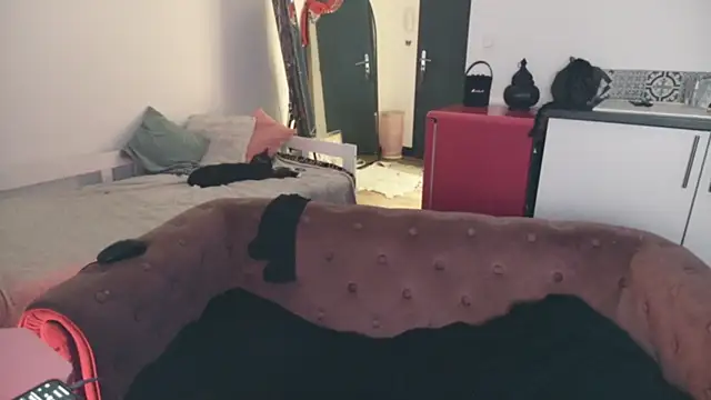 ce leste   online show from 01/10/26, 06:59