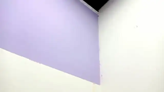 Snapshot of PetiteIvoryQueen19 chatting on 02/13/26, 01:01 PetiteIvoryQueen19 online show from 02/13/26, 01:01