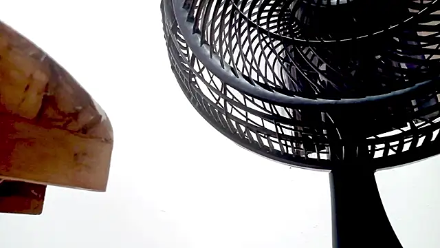 Snapshot of PetiteIvoryQueen19 chatting on 02/14/26, 01:35 PetiteIvoryQueen19 online show from 02/14/26, 01:35