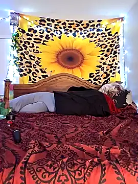 GoddessNikolia online show from 02/24/26, 02:53