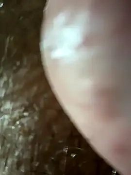 Snapshot of panigalenew chatting on 12/02/24, 01:58 panigalenew online show from 12/02/24, 01:58