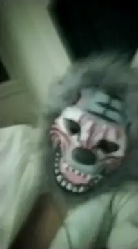 zebrawyzeb online show from 12/23/24, 05:54