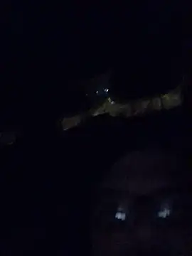 Watson4U online show from 12/13/24, 06:27