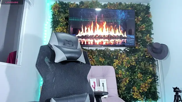 emily palmeer online show from 04/15/26, 08:43