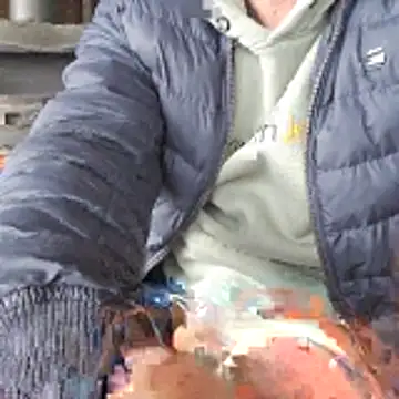 Snapshot of Lumpi1988A chatting on 02/19/26, 11:39 Lumpi1988A online show from 02/19/26, 11:39