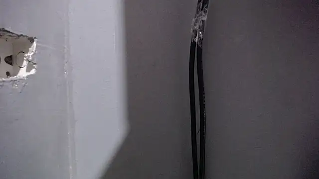 ladynemesis online show from 11/03/25, 08:48