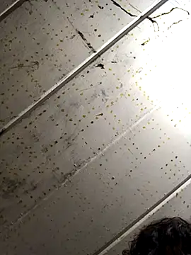 macg96 online show from 12/04/24, 07:17