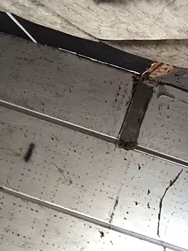 macg96 online show from 12/17/24, 08:34