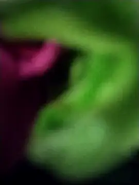 heartless  95 online show from 03/23/25, 06:47